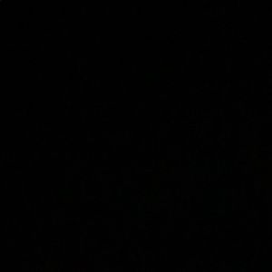 Meet your Posher, Shakedra